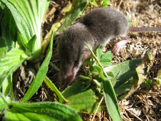 Similar image 21310965