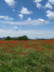 Similar image 21310968