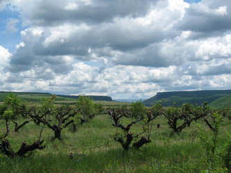 Similar image 21310969