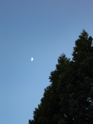 Similar image 21310971