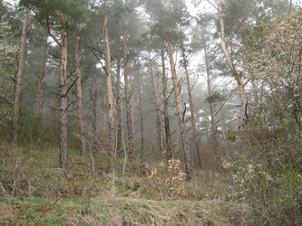 Similar image 21310973