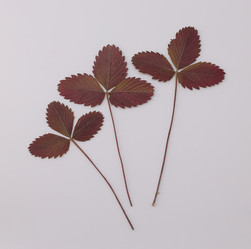 Similar image 21308388