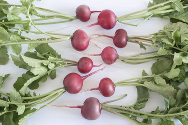 Similar image 21336120