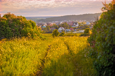 Similar image 21327698