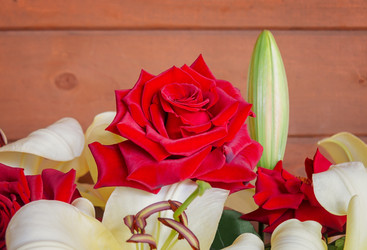 Similar image 21310881