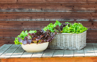 Similar image 21310882