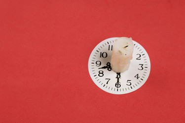 Similar image 21316659