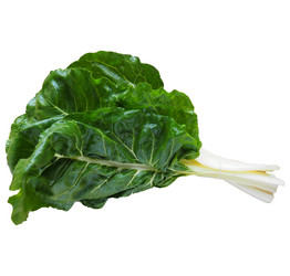 Similar image 21343158