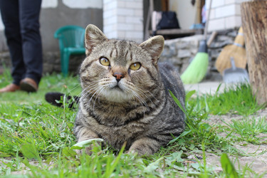 Similar image 21317400