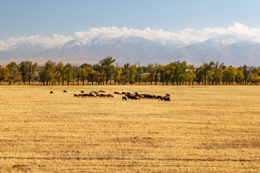 Similar image 21317114