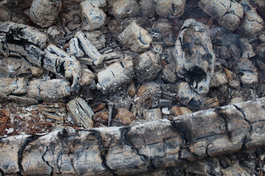 Similar image 21317401