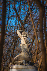 Similar image 21316593