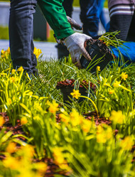 Similar image 21316600