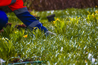 Similar image 21316601