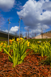 Similar image 21316603