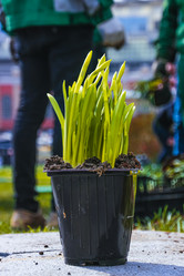 Similar image 21316604