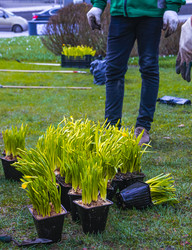 Similar image 21316605