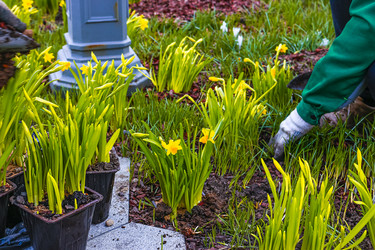 Similar image 21316607