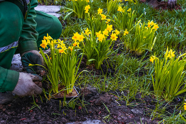 Similar image 21316608