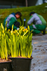 Similar image 21316609