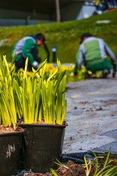 Similar image 21316610