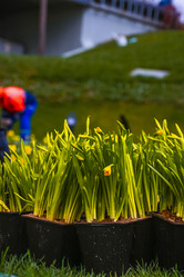 Similar image 21316614