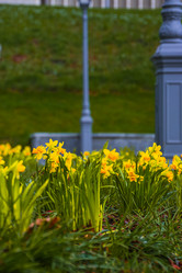 Similar image 21316616