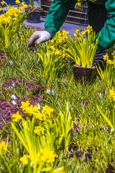 Similar image 21316619