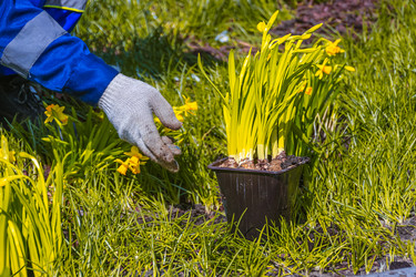 Similar image 21316620