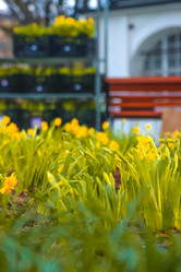 Similar image 21316508