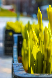 Similar image 21316509