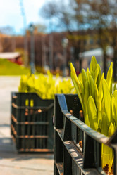 Similar image 21316510