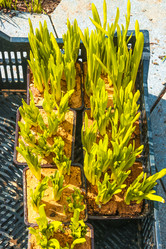 Similar image 21316511