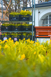 Similar image 21316513