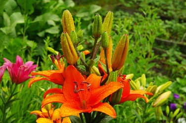 Similar image 21310823