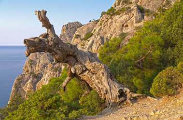 Similar image 21310825