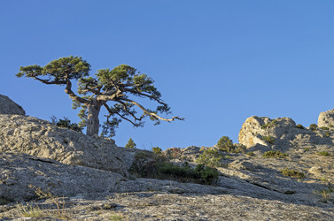 Similar image 21310829