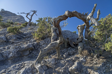 Similar image 21310830