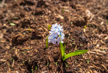 Similar image 21311014