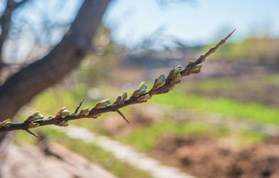 Similar image 21311015