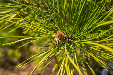 Similar image 21311016