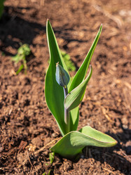 Similar image 21311017