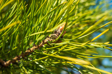 Similar image 21311019