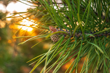 Similar image 21311020