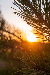 Similar image 21311021