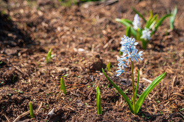 Similar image 21311023