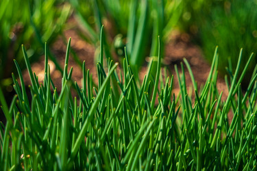 Similar image 21311026