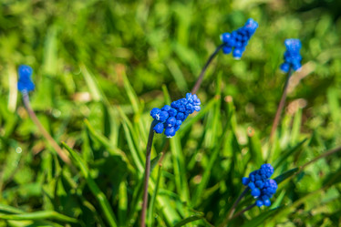 Similar image 21311028