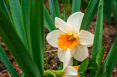 Similar image 21311029