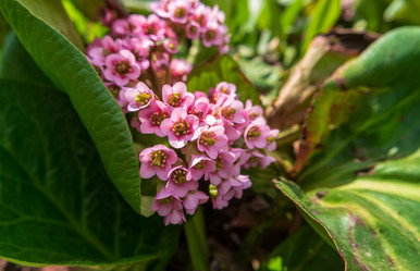 Similar image 21311030